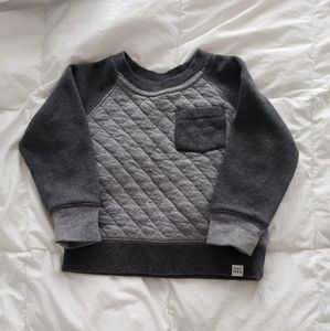 Gap sweater